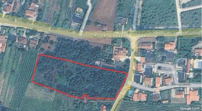 Terreno urbano em Monção e Troviscoso de 3 000 m²