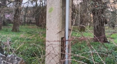 Terreno urbano em Monção e Troviscoso de 3 000 m²