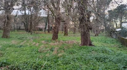 Terreno urbano em Monção e Troviscoso de 3 000 m²