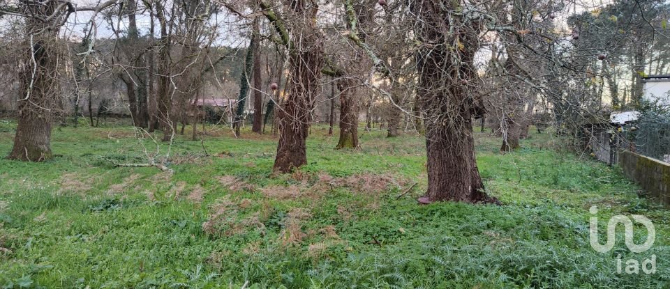 Terreno urbano em Monção e Troviscoso de 3 000 m²