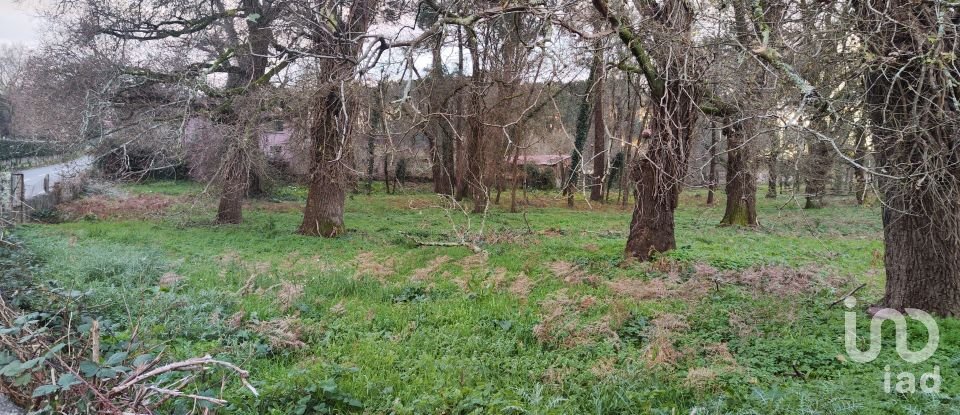 Terreno urbano em Monção e Troviscoso de 3 000 m²