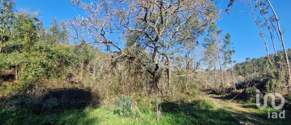 Land in Venda do Pinheiro e Santo Estêvão das Galés of 11,625 m²