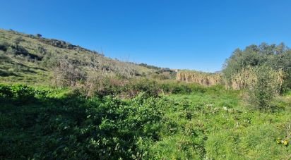 Terrain à Venda do Pinheiro e Santo Estêvão das Galés de 11 625 m²