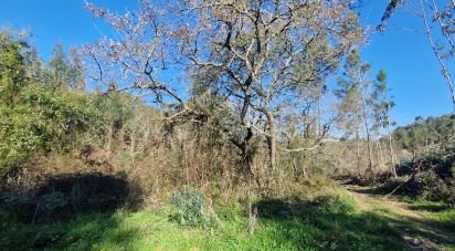 Terrain à Venda do Pinheiro e Santo Estêvão das Galés de 11 625 m²
