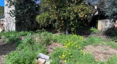 Maison T2 à Sobreira Formosa e Alvito da Beira de 82 m²