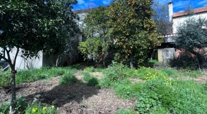 Maison T2 à Sobreira Formosa e Alvito da Beira de 82 m²