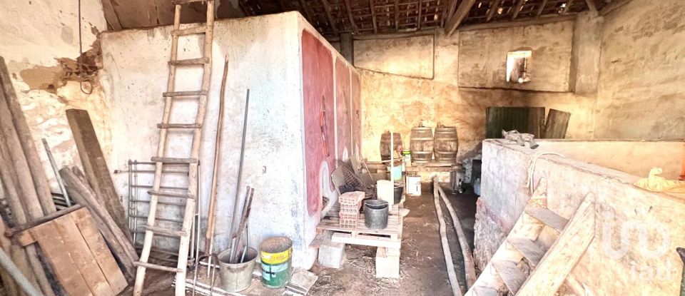 House T4 in A dos Negros of 339 m²