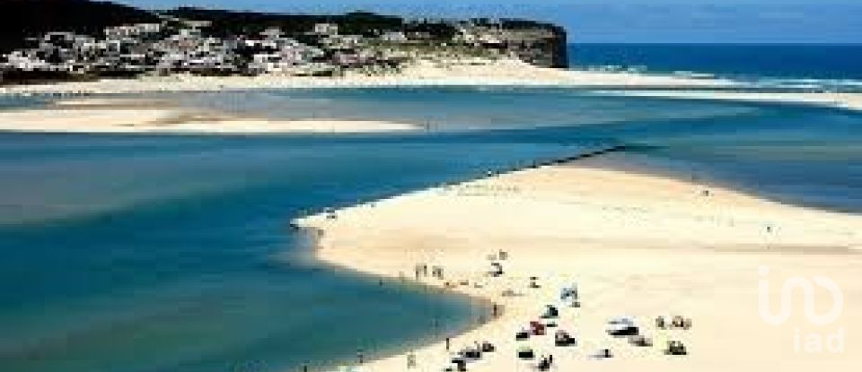 House T4 in A dos Negros of 339 m²