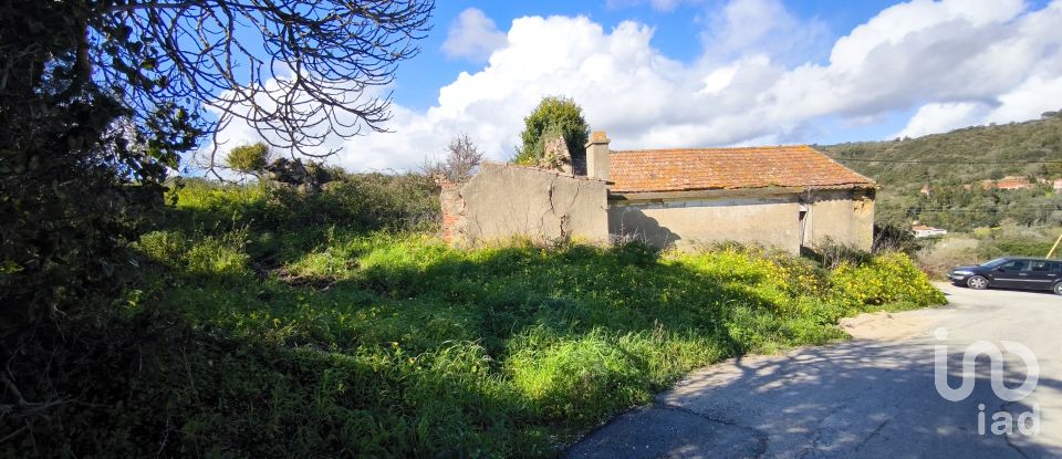 Casa T3 em Alenquer (Santo Estêvão e Triana) de 83 m²