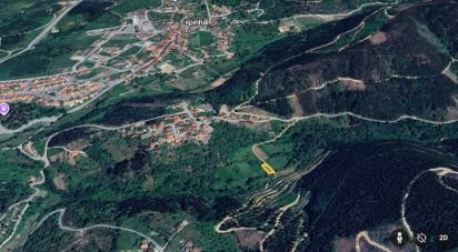 Terreno rústico em Espinhal de 240 m²