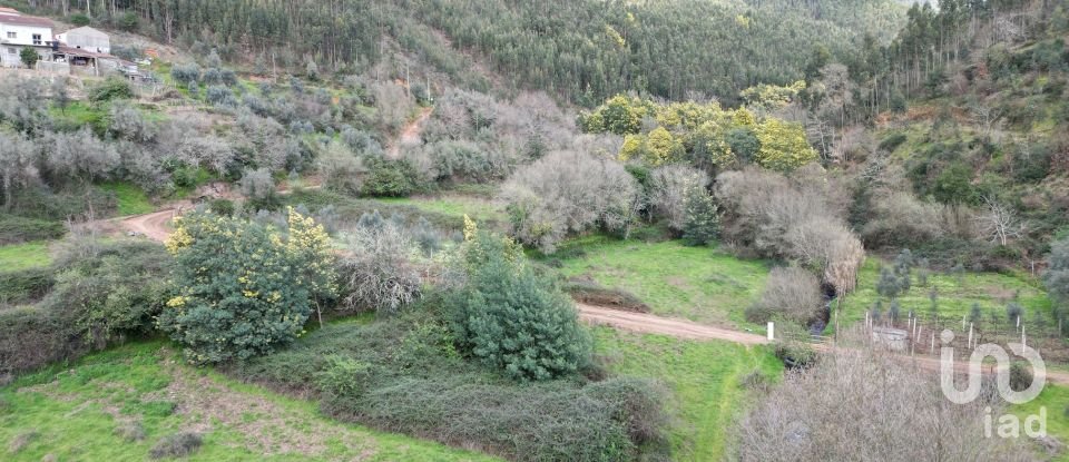 Terreno rústico em Espinhal de 240 m²