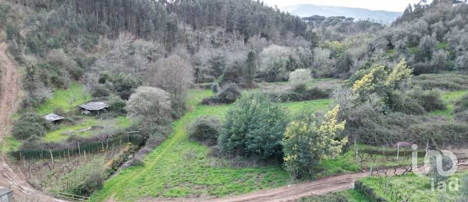 Terreno rústico em Espinhal de 240 m²