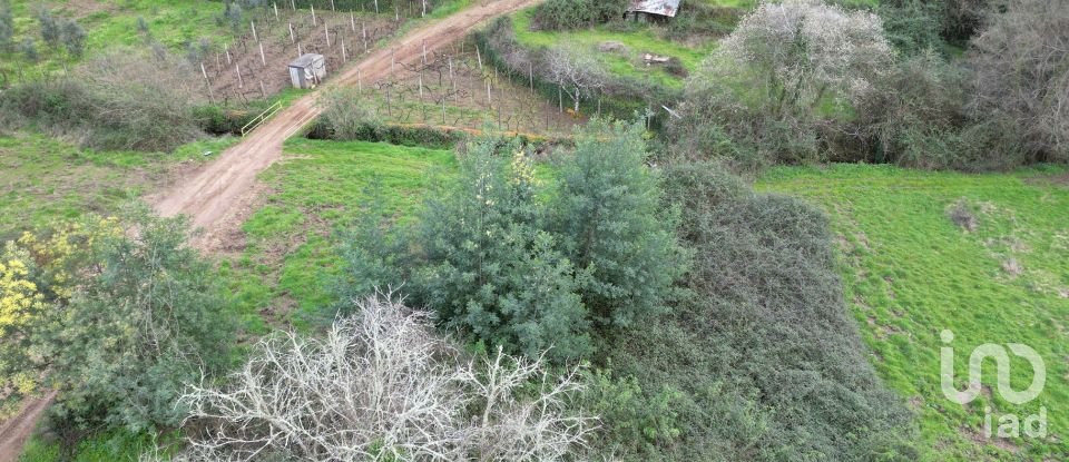 Terreno rústico em Espinhal de 240 m²