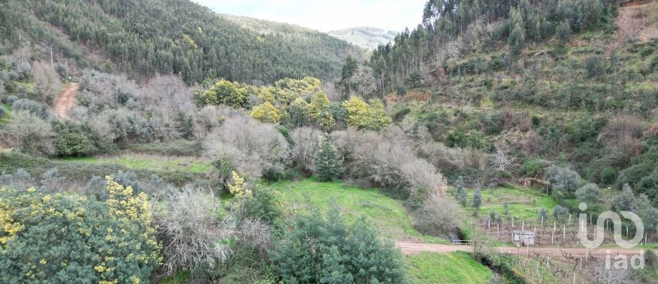 Terreno rústico em Espinhal de 240 m²
