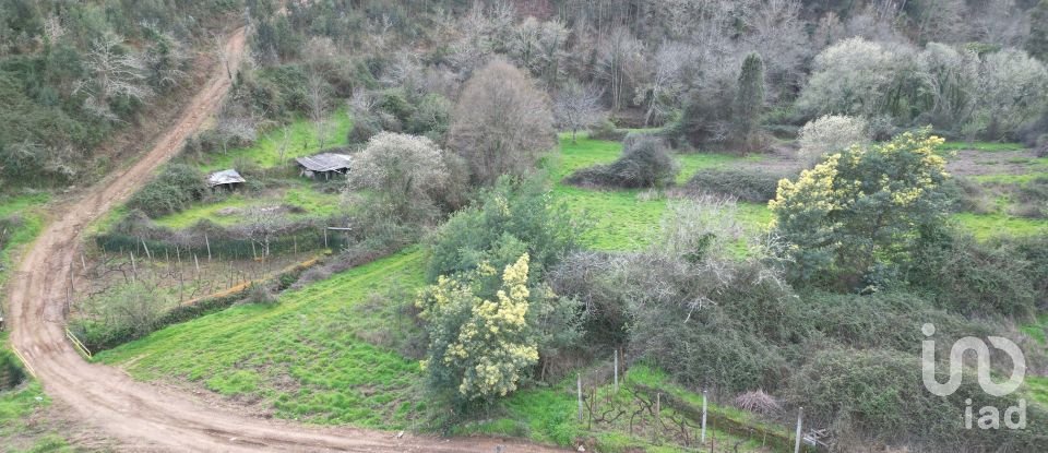 Terreno rústico em Espinhal de 240 m²
