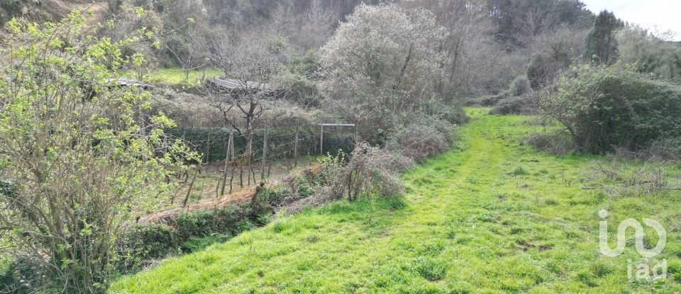 Terreno rústico em Espinhal de 240 m²