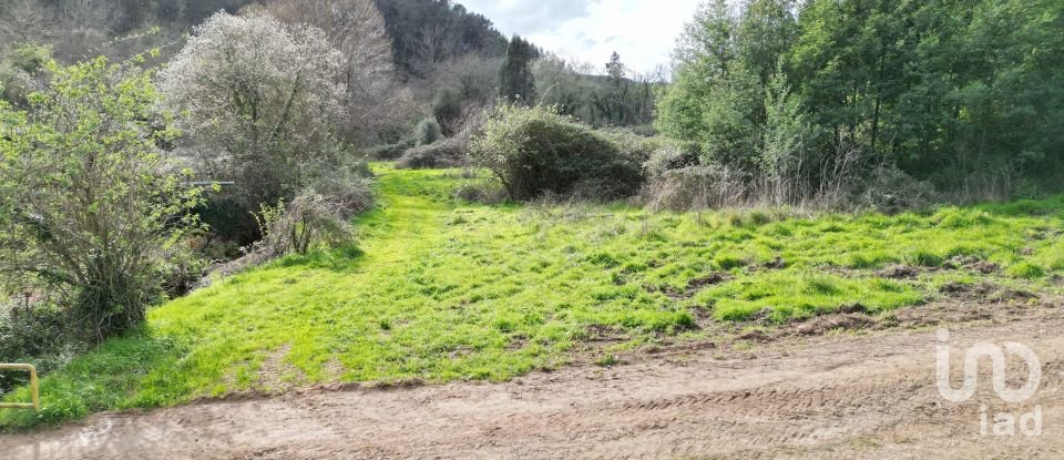 Terreno rústico em Espinhal de 240 m²