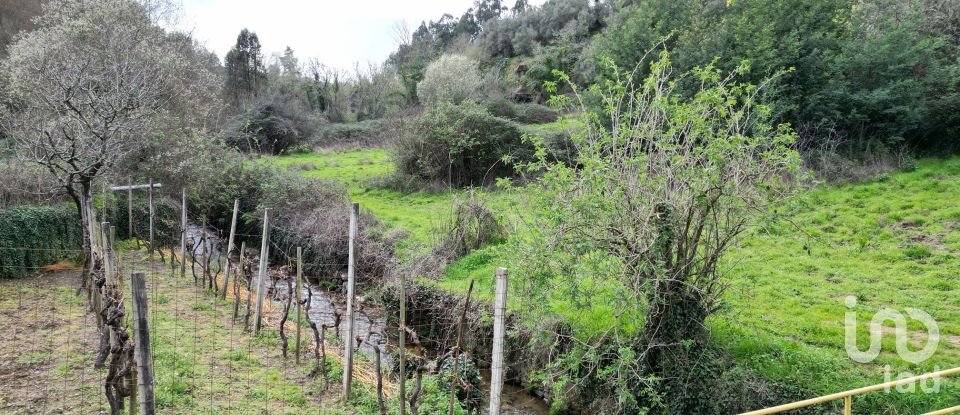 Terreno rústico em Espinhal de 240 m²