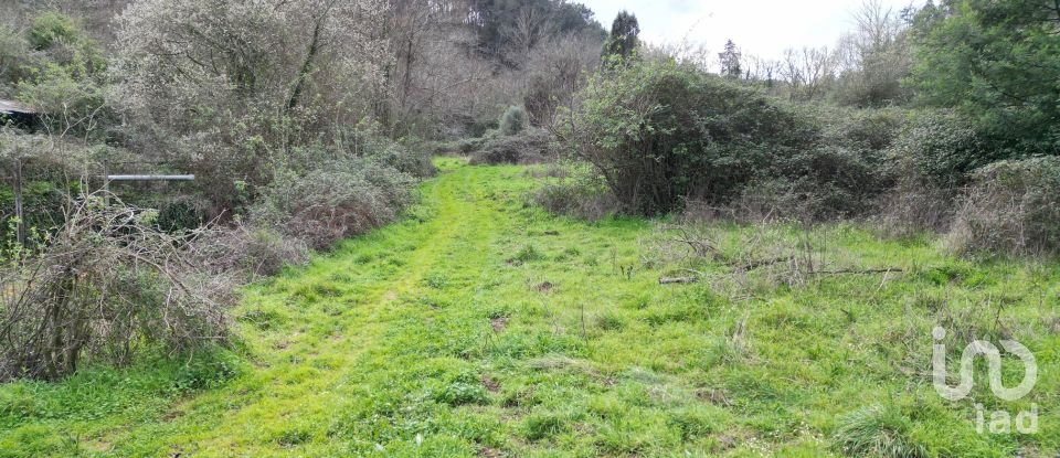 Terreno rústico em Espinhal de 240 m²