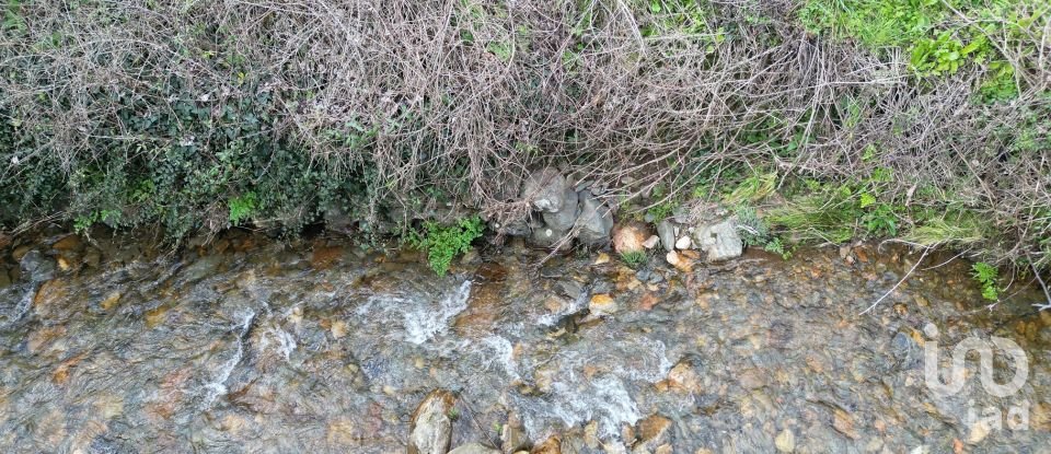 Terreno rústico em Espinhal de 240 m²