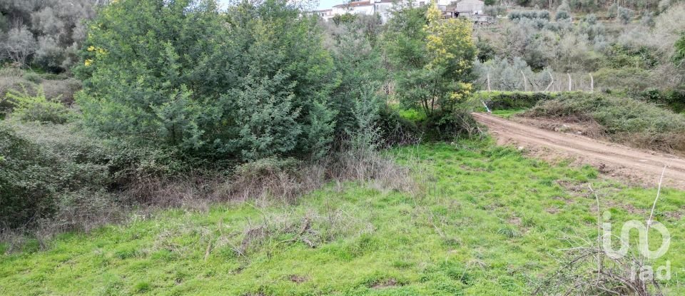 Terreno rústico em Espinhal de 240 m²
