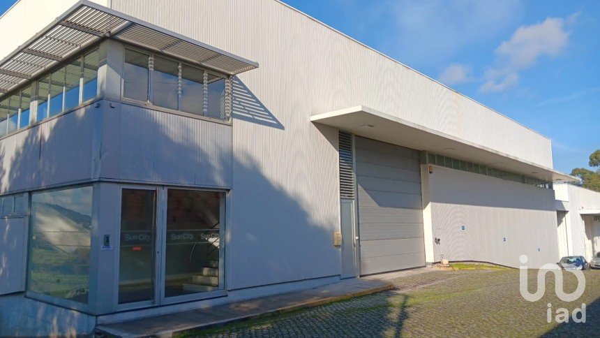 Boutique/Local commercial à Gondar de 3 099 m²