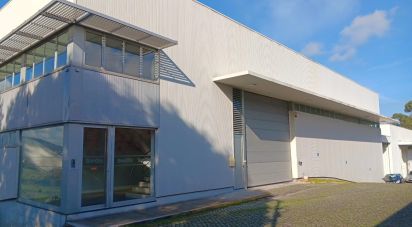 Boutique/Local commercial à Gondar de 3 099 m²