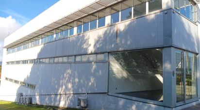 Boutique/Local commercial à Gondar de 3 099 m²