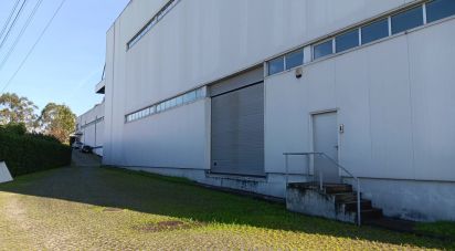 Boutique/Local commercial à Gondar de 3 099 m²