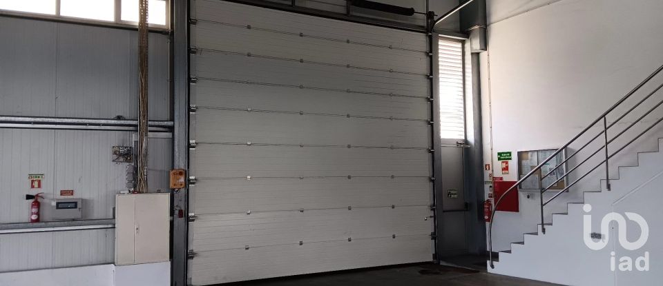 Boutique/Local commercial à Gondar de 3 099 m²