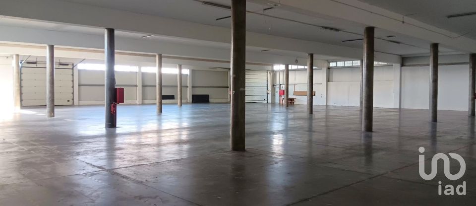 Boutique/Local commercial à Gondar de 3 099 m²