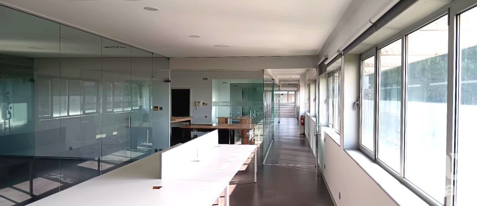 Boutique/Local commercial à Gondar de 3 099 m²