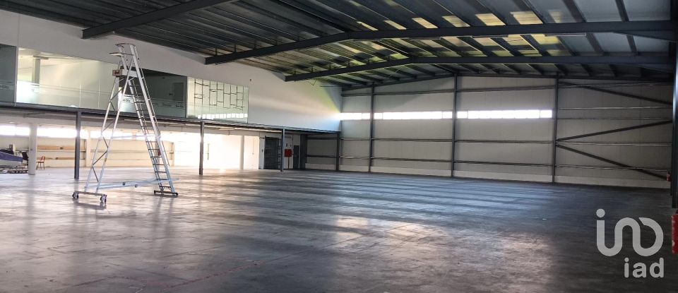 Boutique/Local commercial à Gondar de 3 099 m²