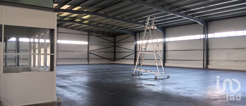 Boutique/Local commercial à Gondar de 3 099 m²