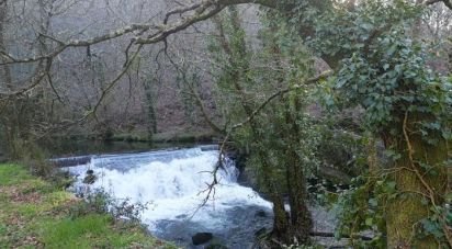 Terrain à Santa Cruz da Trapa e São Cristóvão de Lafões de 26 728 m²