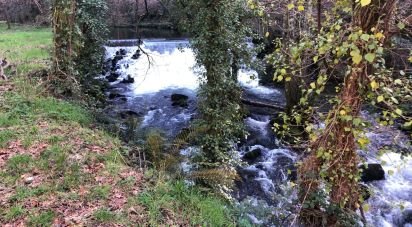 Terrain à Santa Cruz da Trapa e São Cristóvão de Lafões de 26 728 m²