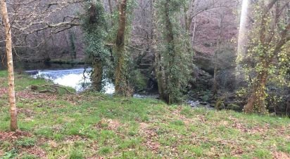 Terrain à Santa Cruz da Trapa e São Cristóvão de Lafões de 26 728 m²