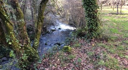 Terrain à Santa Cruz da Trapa e São Cristóvão de Lafões de 26 728 m²