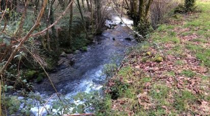 Terrain à Santa Cruz da Trapa e São Cristóvão de Lafões de 26 728 m²