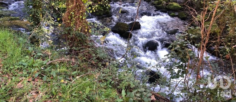 Terreno em Santa Cruz da Trapa e São Cristóvão de Lafões de 26 728 m²