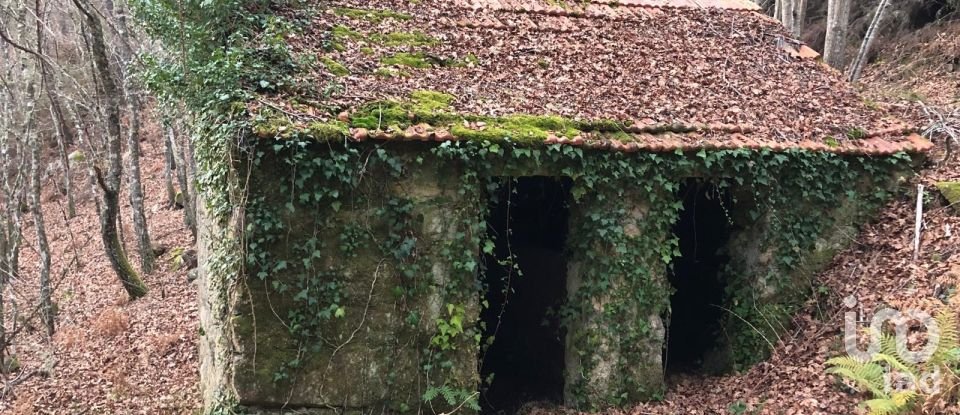Terreno em Santa Cruz da Trapa e São Cristóvão de Lafões de 26 728 m²