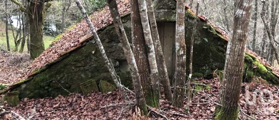 Terreno em Santa Cruz da Trapa e São Cristóvão de Lafões de 26 728 m²