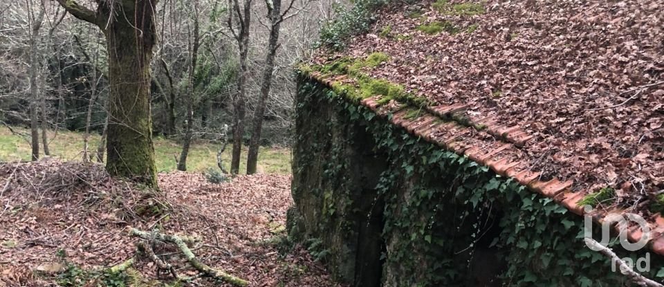 Terreno em Santa Cruz da Trapa e São Cristóvão de Lafões de 26 728 m²