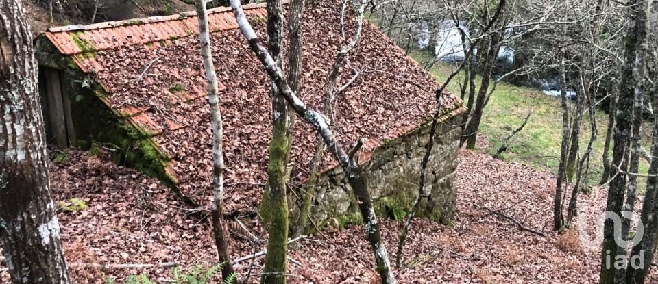 Terreno em Santa Cruz da Trapa e São Cristóvão de Lafões de 26 728 m²
