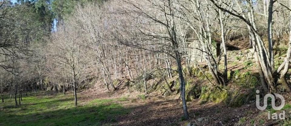 Terreno em Santa Cruz da Trapa e São Cristóvão de Lafões de 26 728 m²