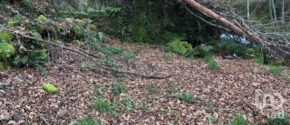 Terreno em Santa Cruz da Trapa e São Cristóvão de Lafões de 26 728 m²