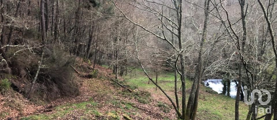 Terreno em Santa Cruz da Trapa e São Cristóvão de Lafões de 26 728 m²