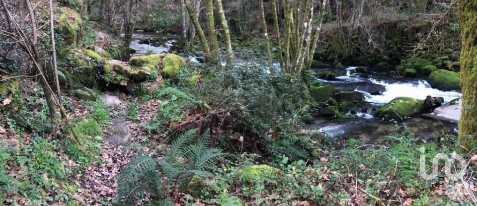Terreno em Santa Cruz da Trapa e São Cristóvão de Lafões de 26 728 m²