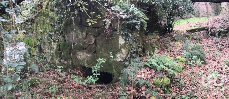 Terreno em Santa Cruz da Trapa e São Cristóvão de Lafões de 26 728 m²