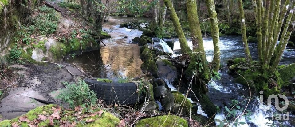 Terreno em Santa Cruz da Trapa e São Cristóvão de Lafões de 26 728 m²